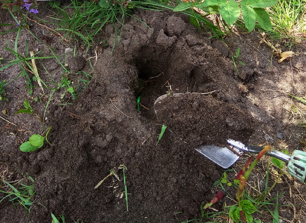 Kunagone Pachový odpuzovač krtků KUNAGONE, 2 ks (obrázek 6)