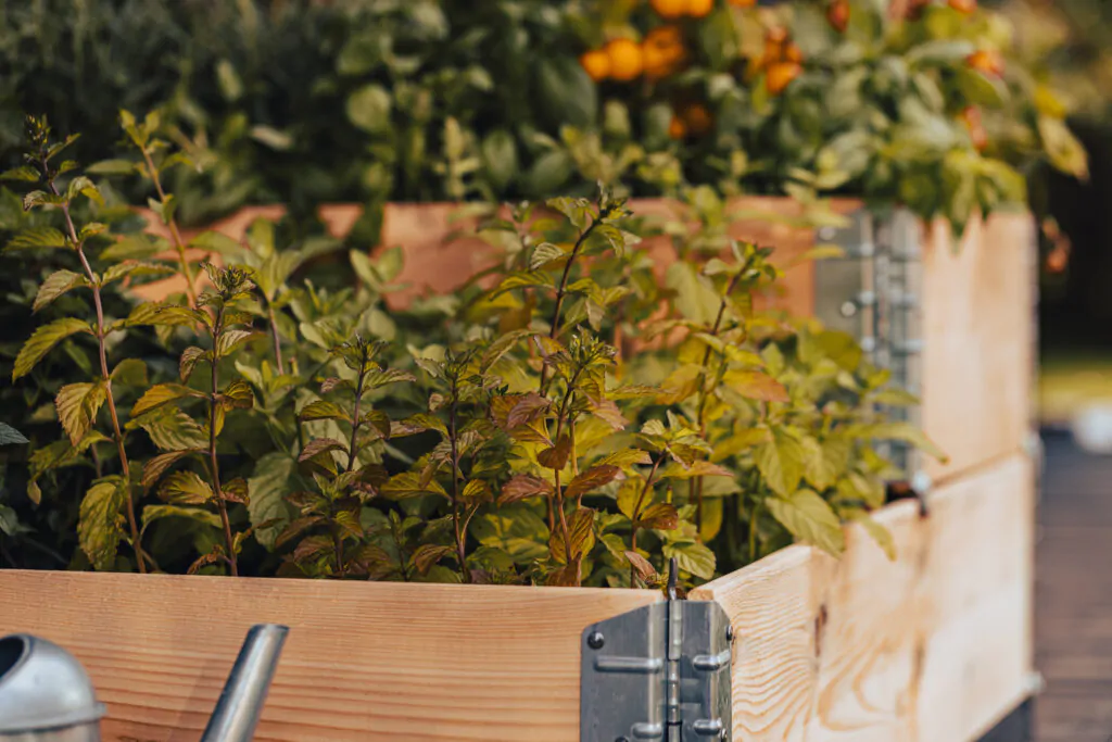 Třípatrový vyvýšený záhon LEGI 0,8 × 1,2 m, dřevěný