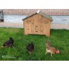 Kurník pro slepice POLLY FARM 2XL