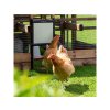 Automatické otevírání kurníku CHICKEN GUARD PRO 25x30 - komplet