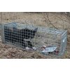 Profesionální past na lišky, kuny, vydry a kočky TRAP ST120x34x34V2